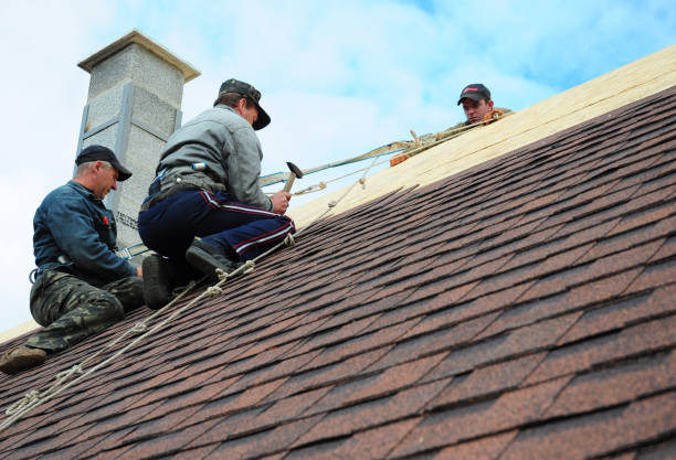 Best Roof Gutter Cleaning  in Belvedere, SC